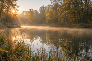 foto: Herfststilte aan de bosvijver.png